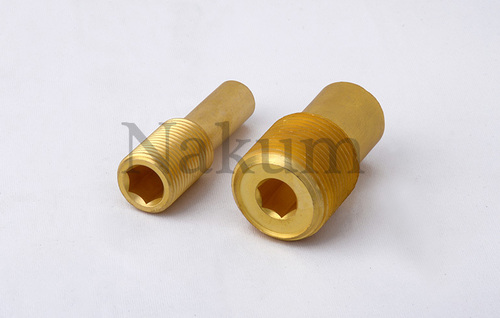 Brass CNG Auto Part