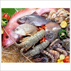 Fresh Sea Foods