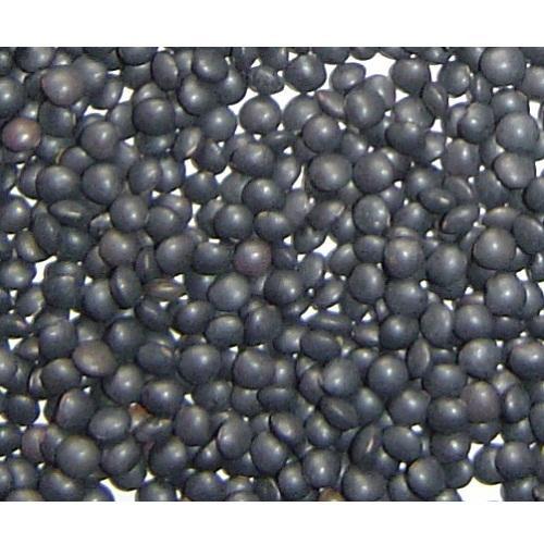 Black Gram(Urad)