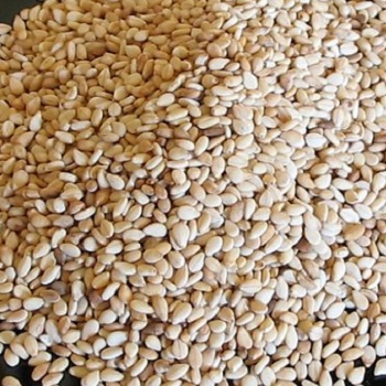Sesame Seeds