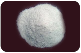 Organic Psyllium Husk Powder