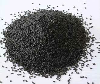 Oil Seed