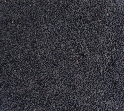 Black Clean Sesame Seed 99.95