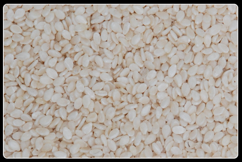 Mechanically Hulled Clean and Sundried 99.95 - Purity 99.95%, Max Admixture 1%, Max FFA 2%, Max Moisture 6%, Min Oil Content 48% | Food Grade, Consistent Quality, 25kg Packaging