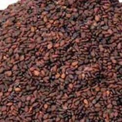 Oil Seed