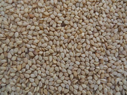 Natural Sesame Seed 99/1/1