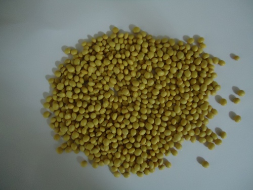Indian Soya Bean Seed