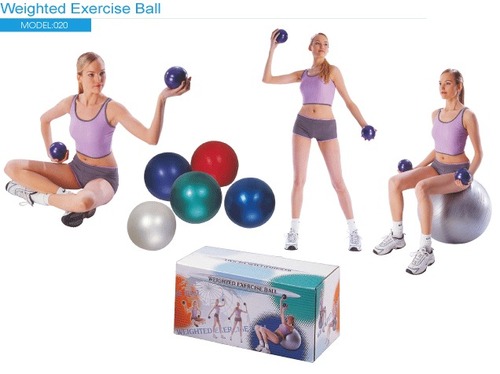 WEIGHTED EXERCISE BALL
