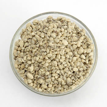 Methi Pachak - Solid Form, Dried Style, Salty Flavor, Soft Texture | Long Shelf Life, Rich Medicinal Value, Purity and Freshness