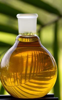Oil