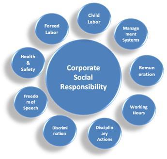 Corporate Social Responsibility Services