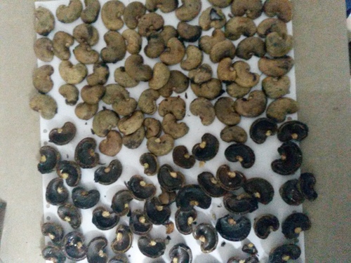 cashew nut shell
