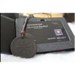Scalar Energy Pendant