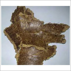 Cattle Feed Supplements