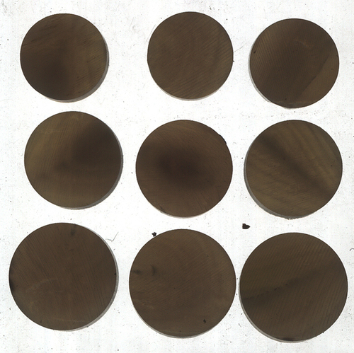 Buffalo Horn Button Blanks