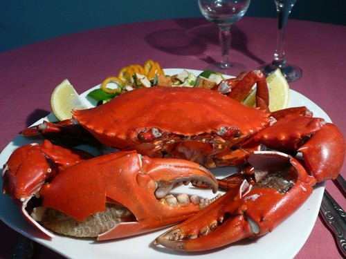 Fresh Crab 