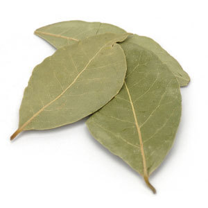 Bay Leaf Tej Patta