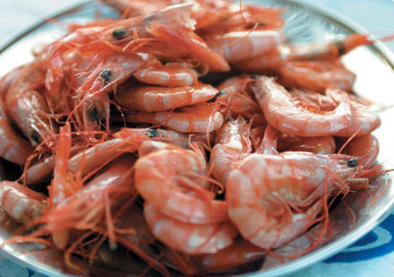 Fresh Prawn