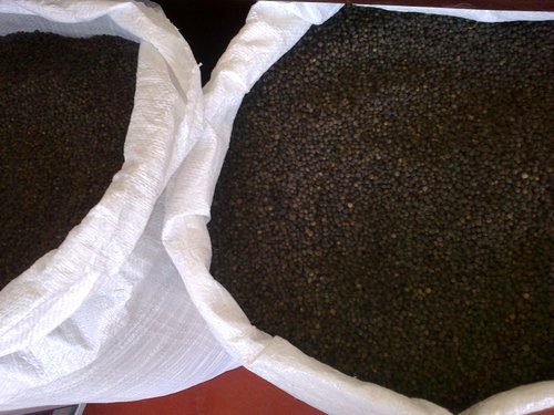 Black Pepper MG Grade 1