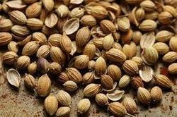 Coriander Katori Husk