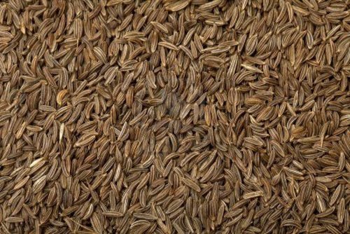 Cumin Seed Machine Clean