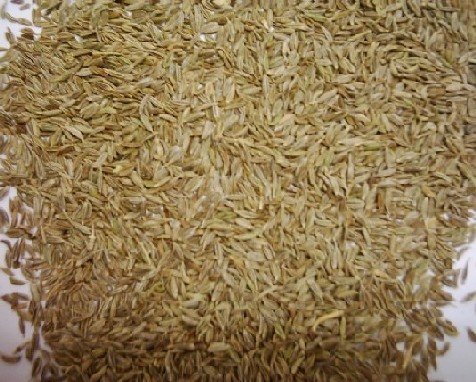 Cumin Seed Singapore Quality 1% Impurity