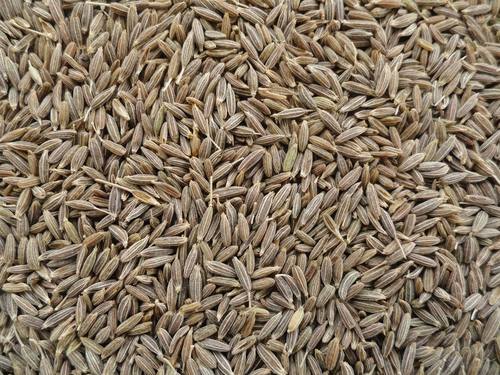 Cumin Seed Clean