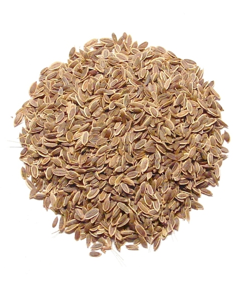 Dill Seeds Europe Quality - Purity 99.90%, Total Ash 9.25% Max, Volatile Content 1-3% | Fresh Green Spicy Aroma, Admixture 0.1% Max, 25 Kg PP Bag