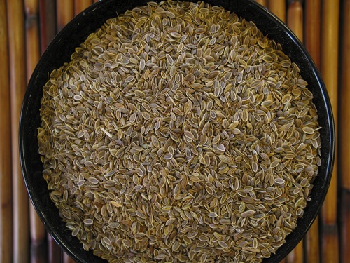 Dill Seeds Singapour Quality
