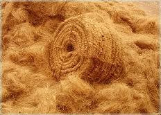 Coir Fibre