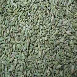 Fennel Seeds Europe Quality