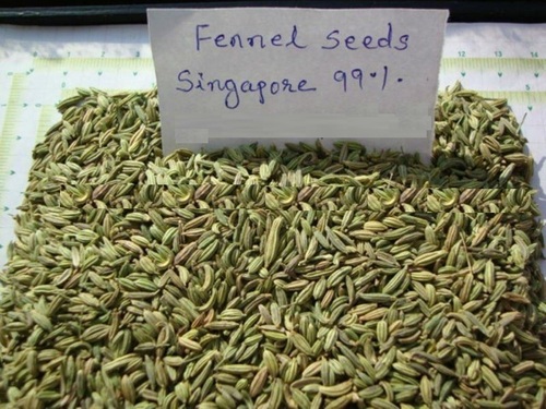 Fennel Seeds Singapour Quality
