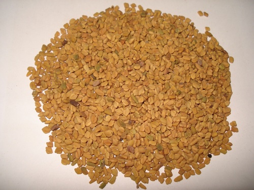 Fenugreek Seed Machine Clean Small Grain B Grade