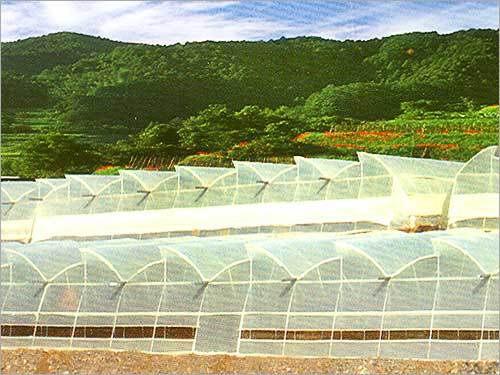 Ventilated Polyhouse