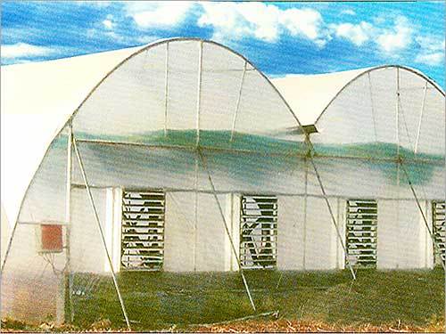Polyhouse Construction Services