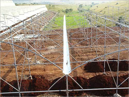 Natural Ventilated Polyhouse