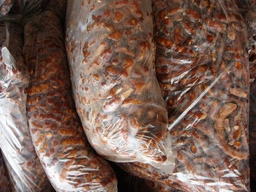 Tamarind Seed with Seed 35% Max
