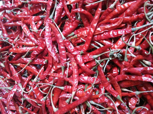 273 Red Chilli Whole