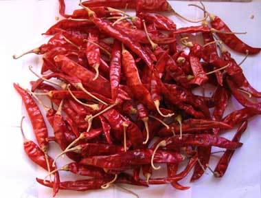 273 Red Chili Whole