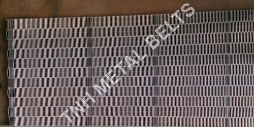 Beer Pasteurizer Conveyor Belt