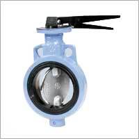 Butterfly Elast Valves