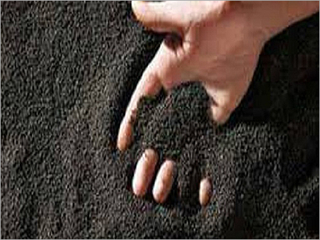 Canola Seeds
