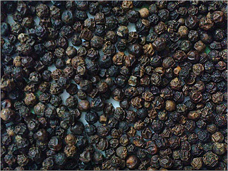 Black Pepper