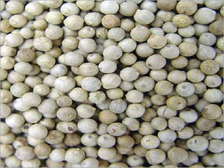 White Pepper