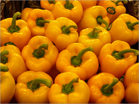 Yellow Capsicum