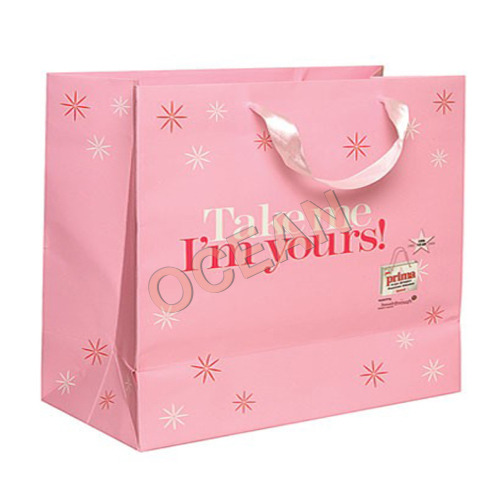 Pink Paper Bag