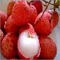 Litchi Pulp