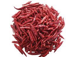 273 Red Chili Whole