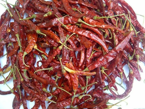 334 Red Chili Whole