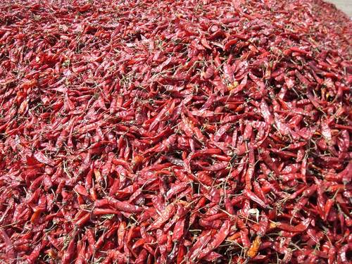 Endo 5 Red Chili Whole